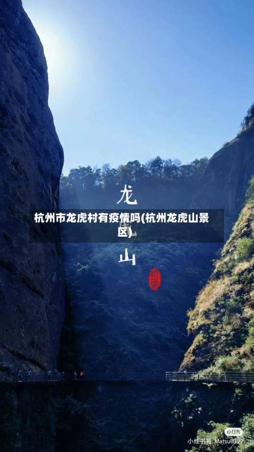 杭州市龙虎村有疫情吗(杭州龙虎山景区)-第3张图片