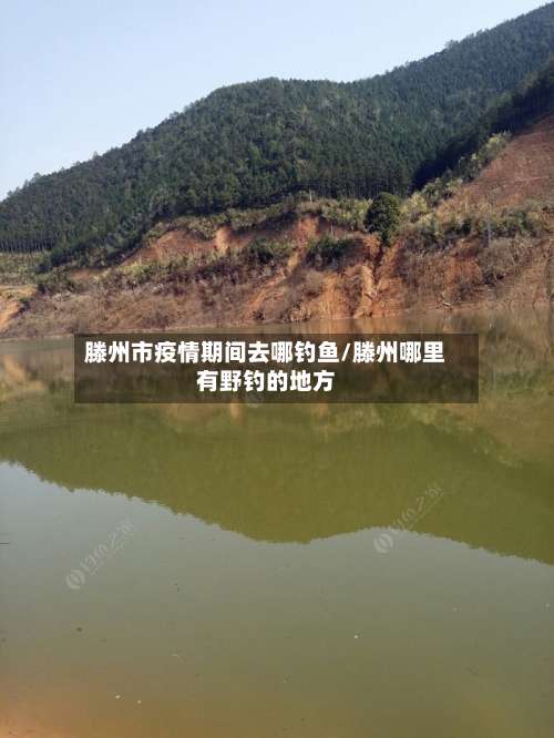 滕州市疫情期间去哪钓鱼/滕州哪里有野钓的地方-第1张图片