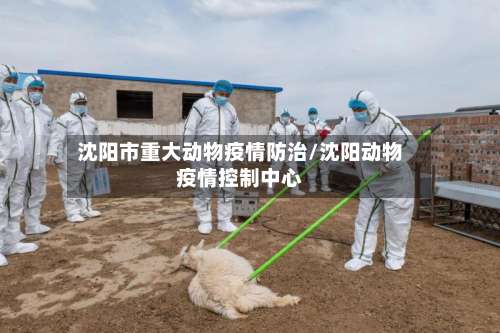 沈阳市重大动物疫情防治/沈阳动物疫情控制中心-第1张图片