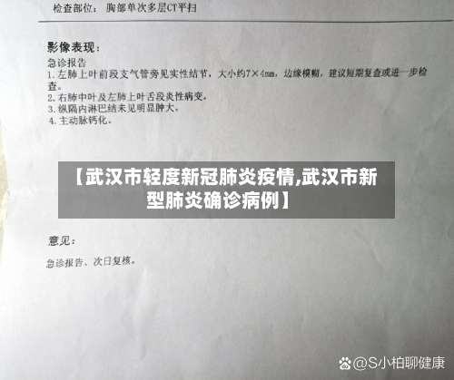 【武汉市轻度新冠肺炎疫情,武汉市新型肺炎确诊病例】-第2张图片