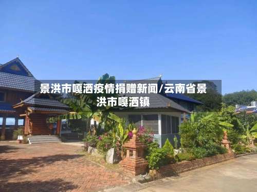 景洪市嘎洒疫情捐赠新闻/云南省景洪市嘎洒镇-第1张图片