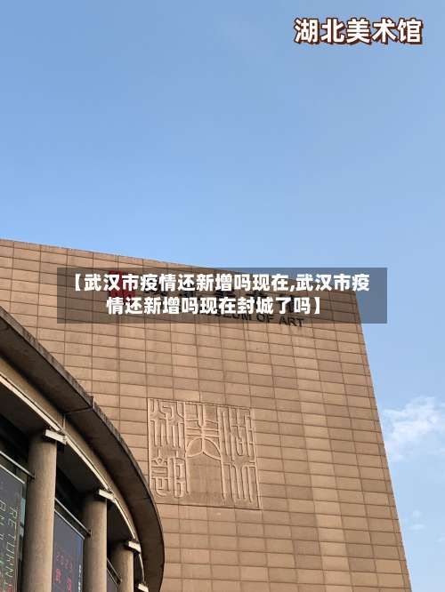 【武汉市疫情还新增吗现在,武汉市疫情还新增吗现在封城了吗】-第2张图片