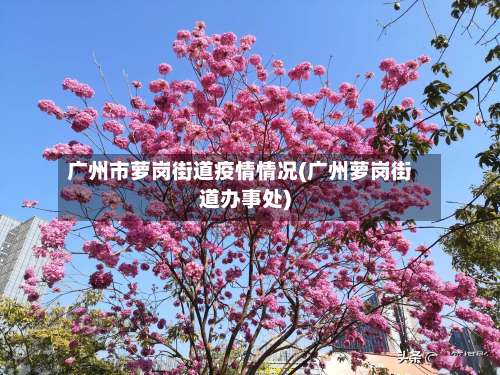 广州市萝岗街道疫情情况(广州萝岗街道办事处)-第1张图片