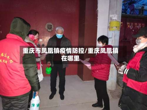 重庆市凤凰镇疫情防控/重庆凤凰镇在哪里-第1张图片