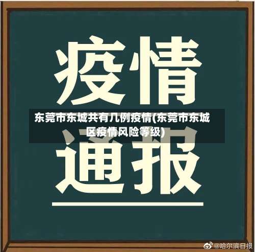 东莞市东城共有几例疫情(东莞市东城区疫情风险等级)-第1张图片