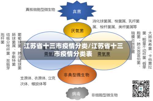江苏省十三市疫情分类/江苏省十三市疫情分类表-第2张图片