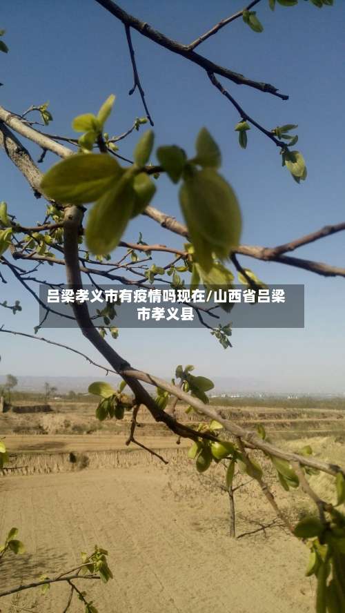吕梁孝义市有疫情吗现在/山西省吕梁市孝义县-第1张图片