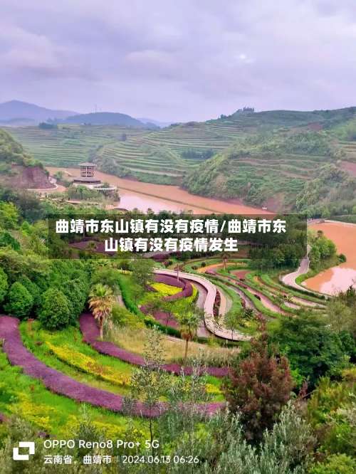 曲靖市东山镇有没有疫情/曲靖市东山镇有没有疫情发生-第1张图片