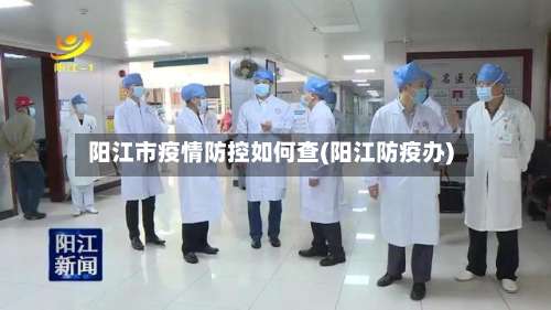 阳江市疫情防控如何查(阳江防疫办)-第1张图片