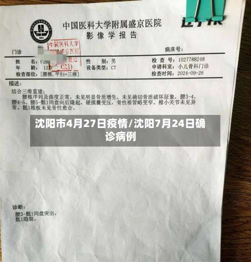 沈阳市4月27日疫情/沈阳7月24日确诊病例-第1张图片