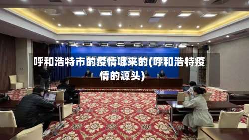 呼和浩特市的疫情哪来的(呼和浩特疫情的源头)-第2张图片