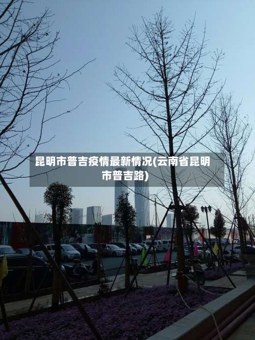 昆明市普吉疫情最新情况(云南省昆明市普吉路)-第1张图片