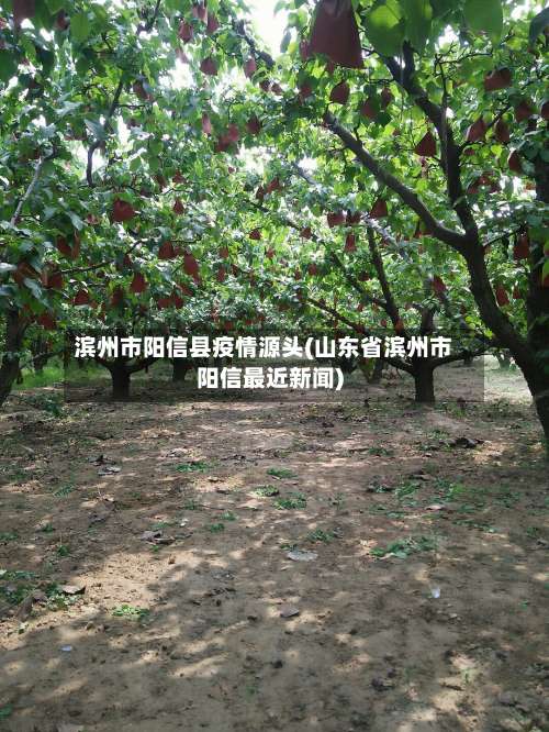 滨州市阳信县疫情源头(山东省滨州市阳信最近新闻)-第1张图片