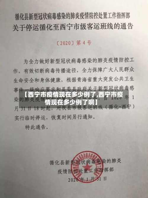 【西宁市疫情现在多少例了,西宁市疫情现在多少例了啊】-第1张图片
