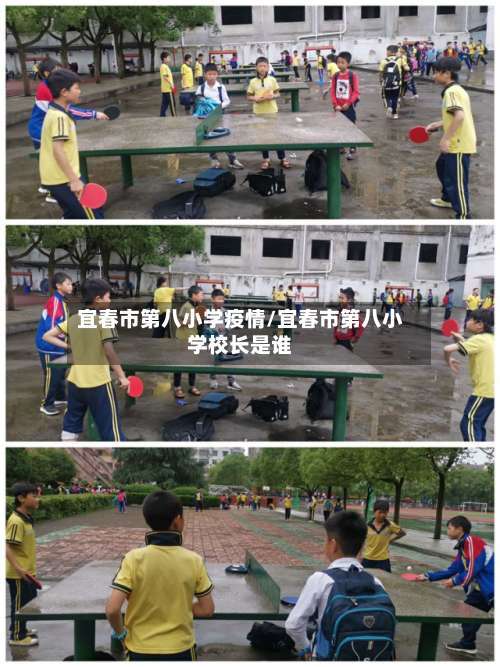 宜春市第八小学疫情/宜春市第八小学校长是谁-第1张图片