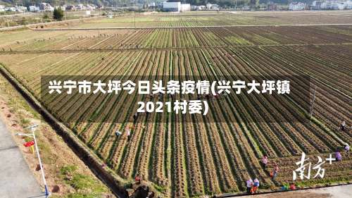 兴宁市大坪今日头条疫情(兴宁大坪镇2021村委)-第1张图片