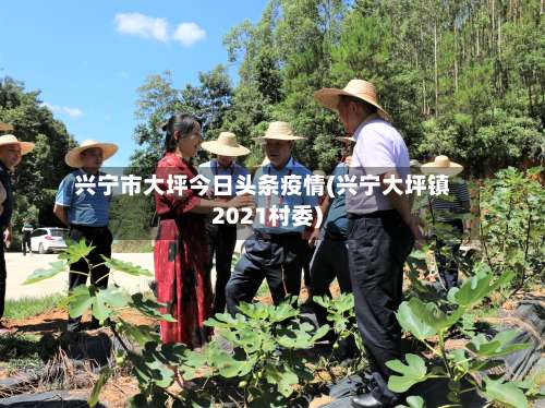 兴宁市大坪今日头条疫情(兴宁大坪镇2021村委)-第3张图片