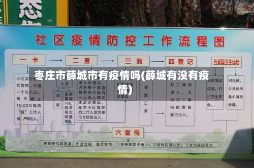 枣庄市薛城市有疫情吗(薛城有没有疫情)-第1张图片