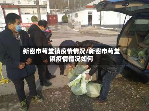 新密市苟堂镇疫情情况/新密市苟堂镇疫情情况如何-第3张图片