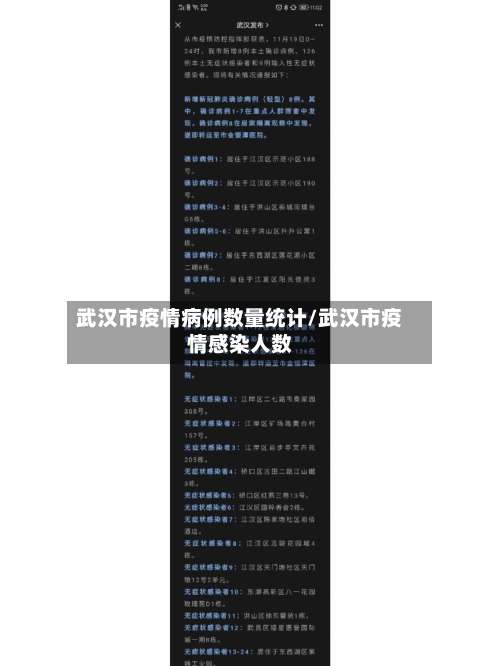 武汉市疫情病例数量统计/武汉市疫情感染人数-第3张图片