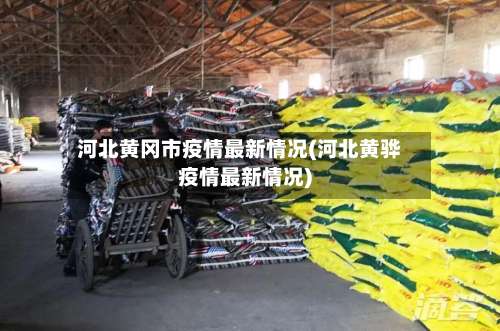 河北黄冈市疫情最新情况(河北黄骅疫情最新情况)-第2张图片