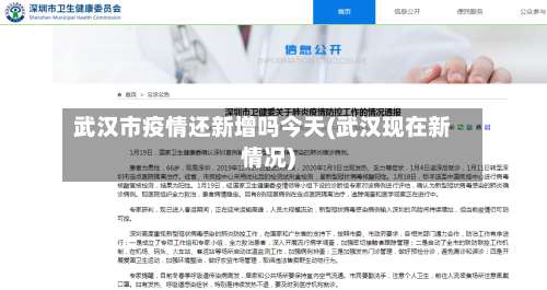 武汉市疫情还新增吗今天(武汉现在新情况)-第3张图片