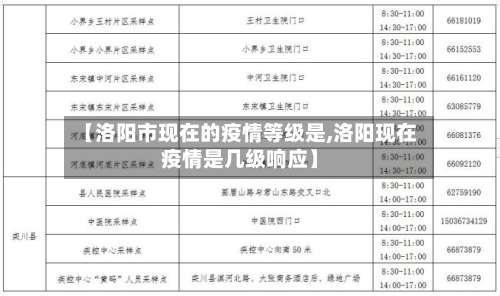 【洛阳市现在的疫情等级是,洛阳现在疫情是几级响应】-第1张图片