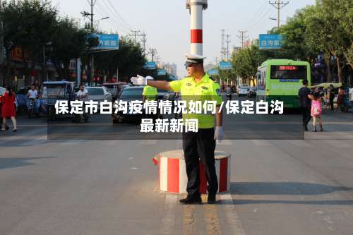 保定市白沟疫情情况如何/保定白沟最新新闻-第3张图片