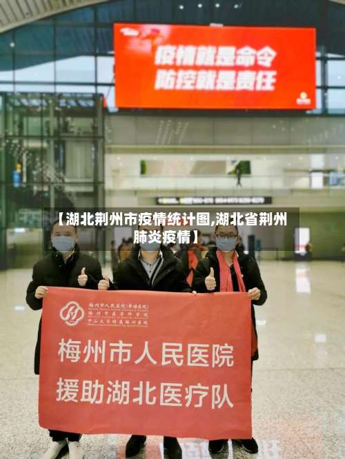 【湖北荆州市疫情统计图,湖北省荆州肺炎疫情】-第1张图片