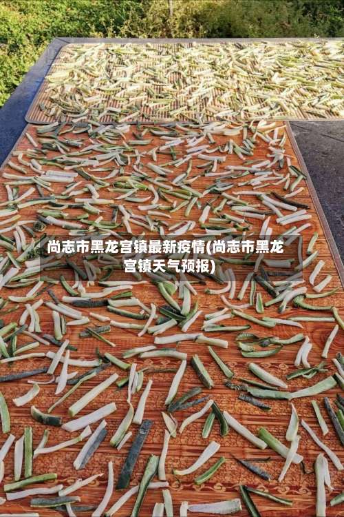 尚志市黑龙宫镇最新疫情(尚志市黑龙宫镇天气预报)-第2张图片
