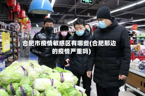 合肥市疫情敏感区有哪些(合肥那边的疫情严重吗)-第1张图片