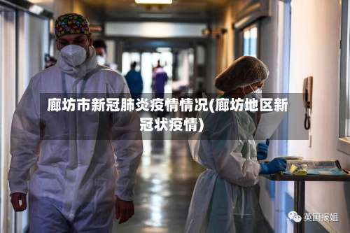 廊坊市新冠肺炎疫情情况(廊坊地区新冠状疫情)-第1张图片