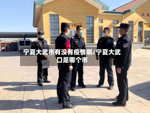 宁夏大武市有没有疫情啊/宁夏大武口是哪个市-第2张图片