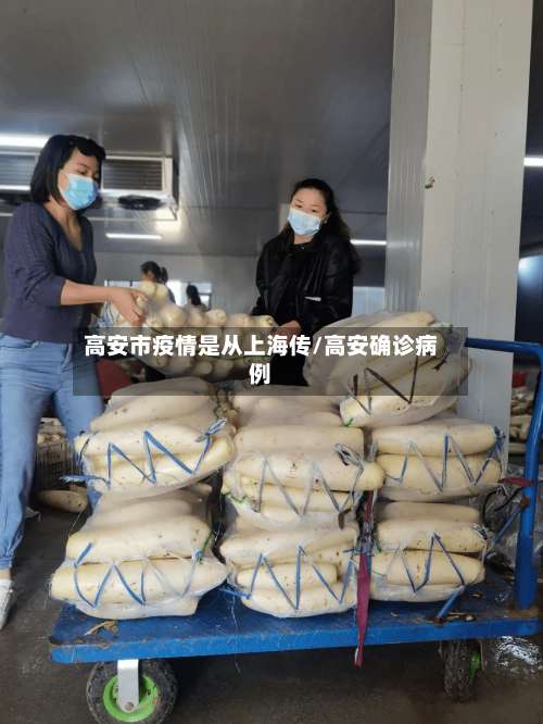 高安市疫情是从上海传/高安确诊病例-第1张图片