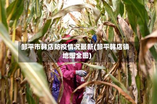 邹平市韩店防疫情况最新(邹平韩店镇地图全图)-第2张图片