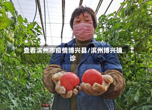 查看滨州市疫情博兴县/滨州博兴确诊-第1张图片