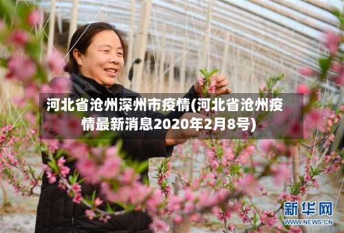 河北省沧州深州市疫情(河北省沧州疫情最新消息2020年2月8号)-第2张图片