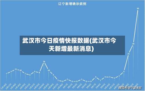 武汉市今日疫情快报数据(武汉市今天新增最新消息)-第1张图片