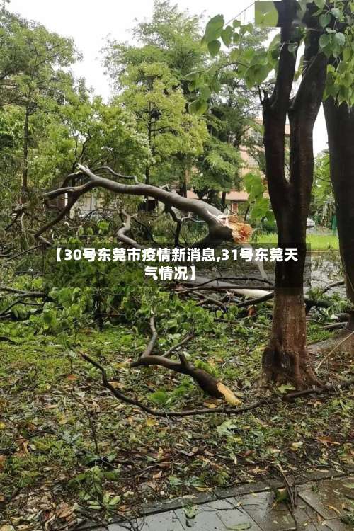 【30号东莞市疫情新消息,31号东莞天气情况】-第1张图片