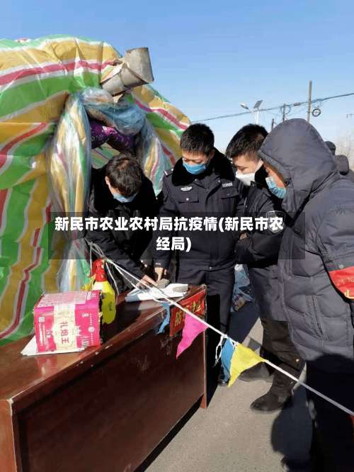新民市农业农村局抗疫情(新民市农经局)-第1张图片