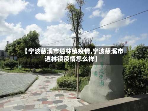 【宁波慈溪市逍林镇疫情,宁波慈溪市逍林镇疫情怎么样】-第1张图片
