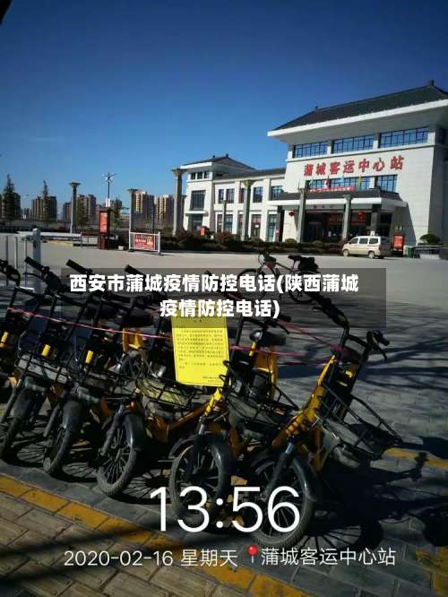 西安市蒲城疫情防控电话(陕西蒲城疫情防控电话)-第1张图片