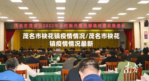 茂名市袂花镇疫情情况/茂名市袂花镇疫情情况最新-第2张图片