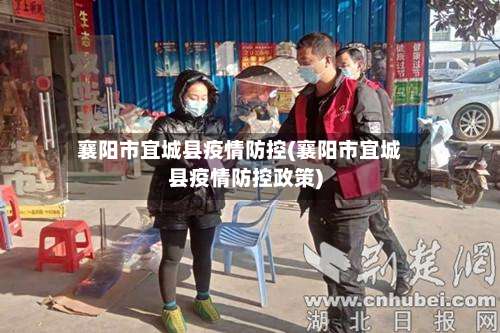 襄阳市宜城县疫情防控(襄阳市宜城县疫情防控政策)-第1张图片