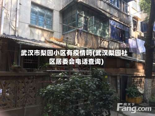 武汉市梨园小区有疫情吗(武汉梨园社区居委会电话查询)-第2张图片