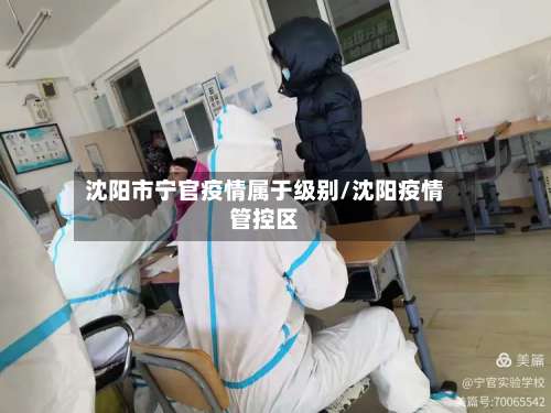 沈阳市宁官疫情属于级别/沈阳疫情管控区-第3张图片