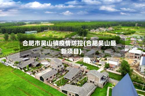 合肥市吴山镇疫情防控(合肥吴山最新项目)-第1张图片
