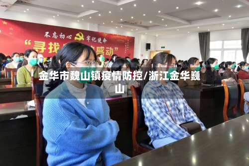 金华市魏山镇疫情防控/浙江金华巍山-第1张图片