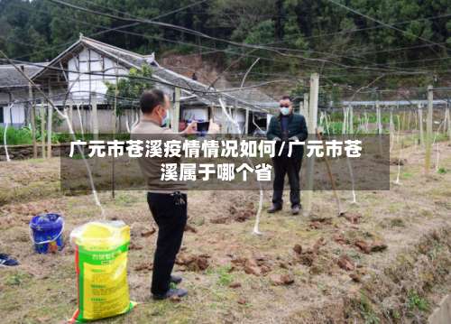 广元市苍溪疫情情况如何/广元市苍溪属于哪个省-第3张图片