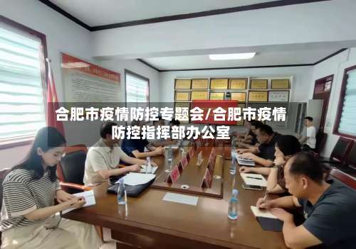 合肥市疫情防控专题会/合肥市疫情防控指挥部办公室-第2张图片